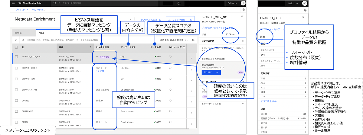 データの理解とメタデータの付与(メタデータ･エンリッチメント)