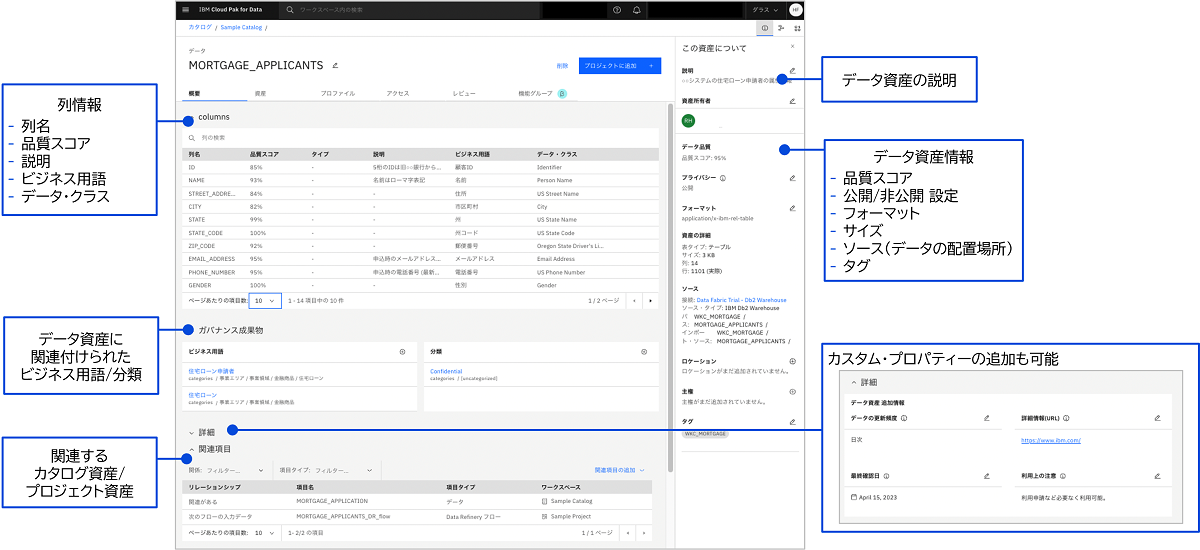 分析目的にあうデータかをクイックに理解 － 概要タブ