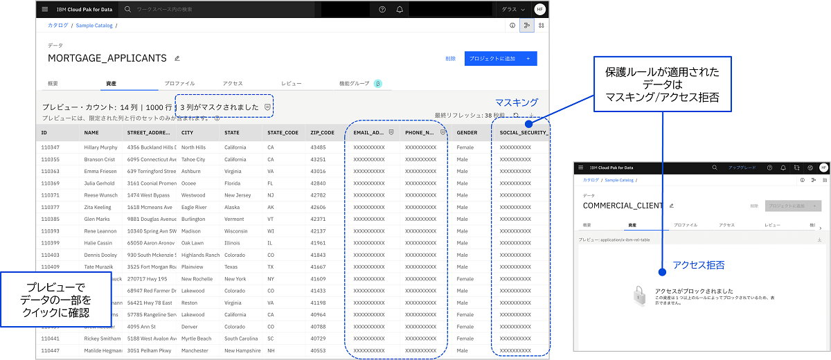 分析目的にあうデータかをクイックに理解 － 資産